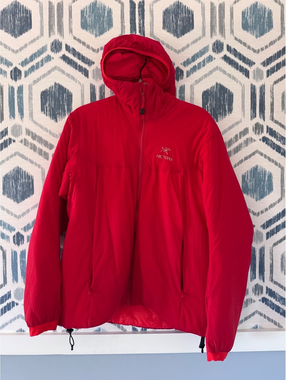 Arc'teryx Women's Atom LT Hoody